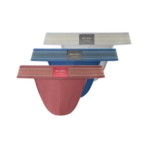 SALIGIA High-Cut Underpants Men's