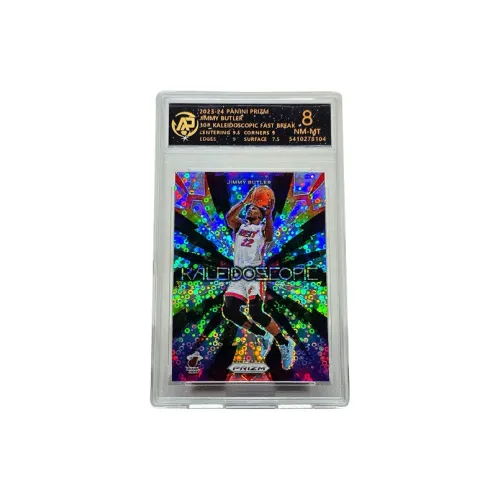 PANINI Graded Cards