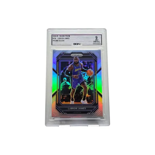 PANINI Graded Cards