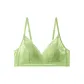 Avocado Green