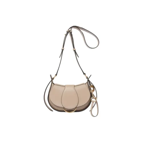 Chloe Smooth Calf Leather Crossbody Bag Shoulder Bag Small Size Women's Elephant Gray