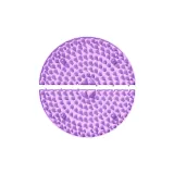 Purple 62cm*62cm[Round Patchwork Magnetic Therapy Style]Detachable & Interchangeable/Free to Choose