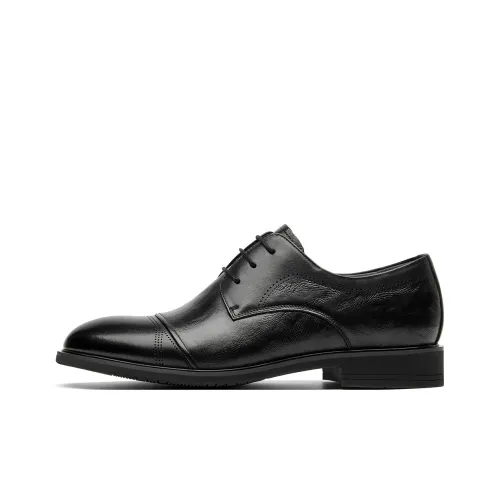 Spider King Dress Shoes Men Low Top Black/Brown