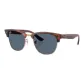 Tortoiseshell