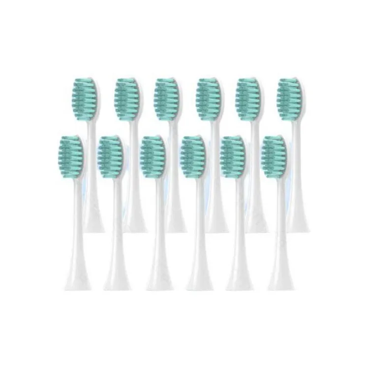 Fly Toothbrush Heads-2