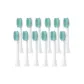 [HX2478 Exclusive]-Mint Green-12 Pcs Set