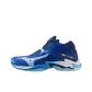 Blue White