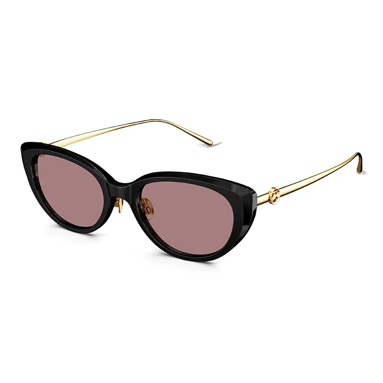 MOLSION Plate Frame Β Titanium Cat Eye Sunglasses Women's-2