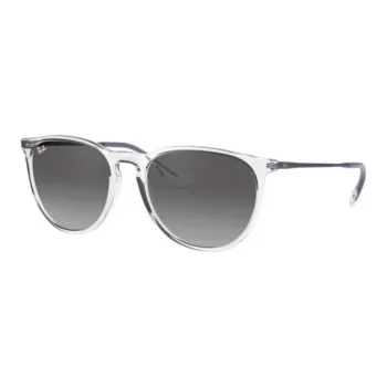 RayBan Erika Classic Sunglasses