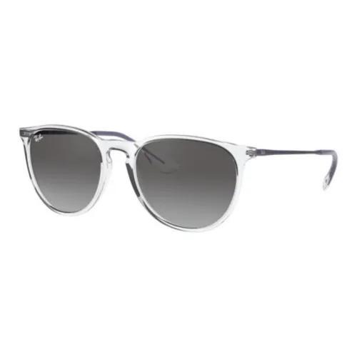 RayBan Erika Classic Sunglasses