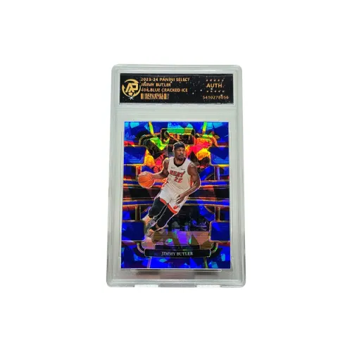 PANINI Graded Cards