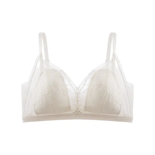 2323 Women's Bras