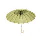 16-Rib Straight Rod Bamboo Handle Fruit Green