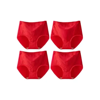 Ordifen Underpants Women's 4 Pack