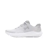 Gray/Silver