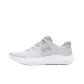 Gray/Silver
