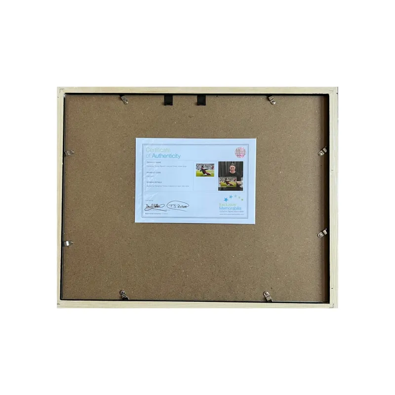 EM Torres Includes Certification Certificate Outer Frame Size 38.6x48.6cm-4