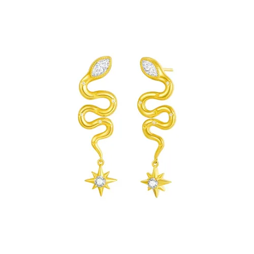 DESIGN CIRCLES S925 Silver Earrings Women's