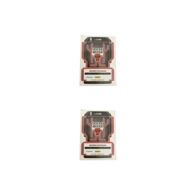 PANINI Dennis Rodman Panini Dennis Rodman Star Card Product Access Sports Cards Single Disc-2