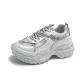 BN8801 Silver Gray