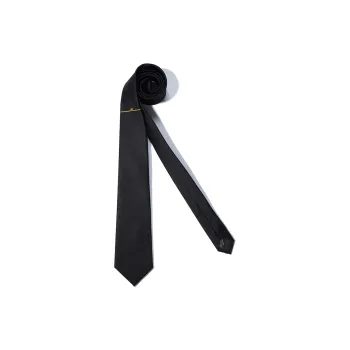 GIEVES CHARLES Mulberry Silk Ties Men's