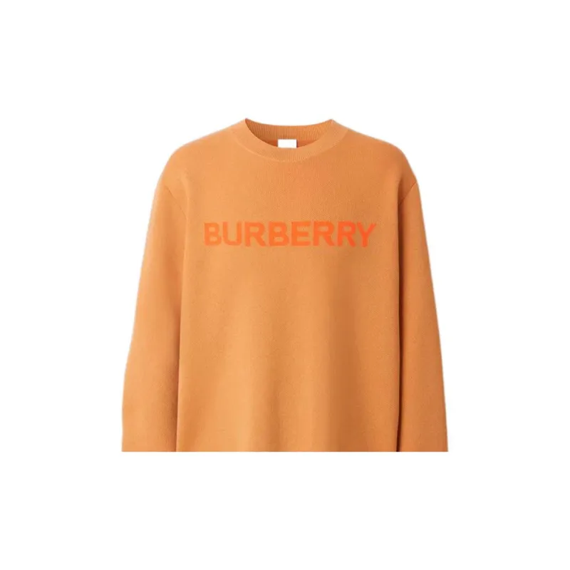Burberry FW22 Sweater Men's Orange-4