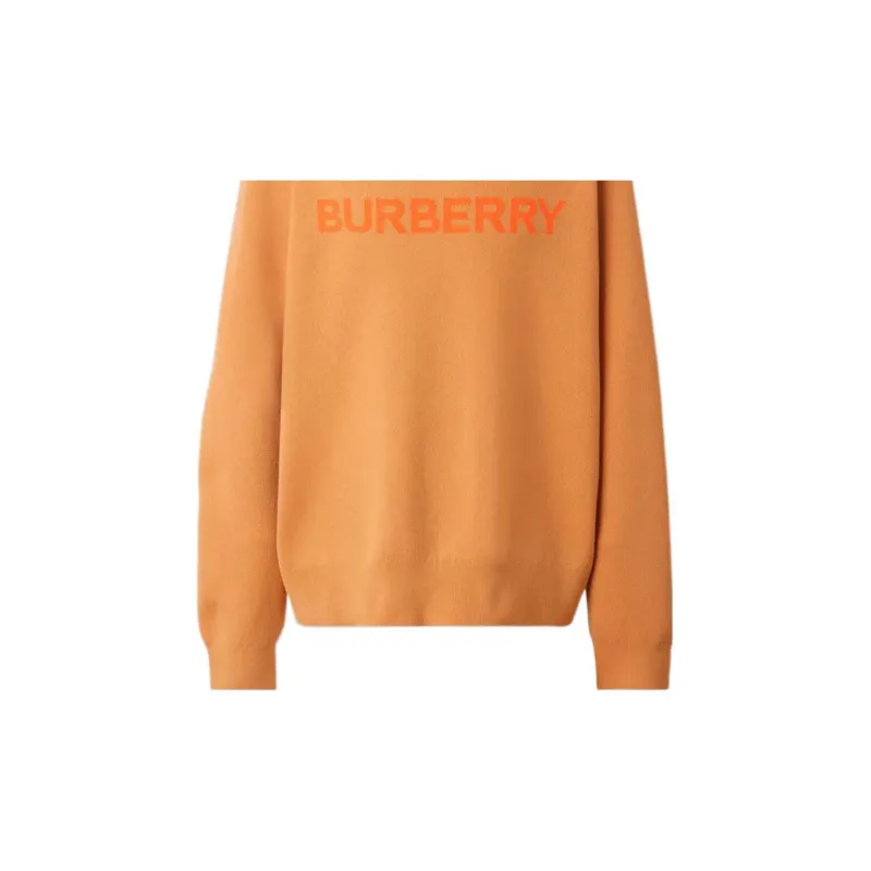 Burberry FW22 Sweater Men's Orange-5