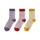 Purple+Red+Ginger Yellow