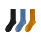Black+Blue+Ginger Yellow