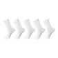 5 Pack (White)