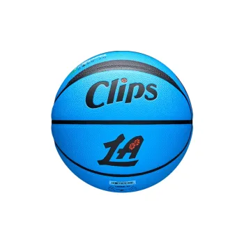 Wilson NBA City Series PU Basketball Blue Size 7 Ball Match Unisex