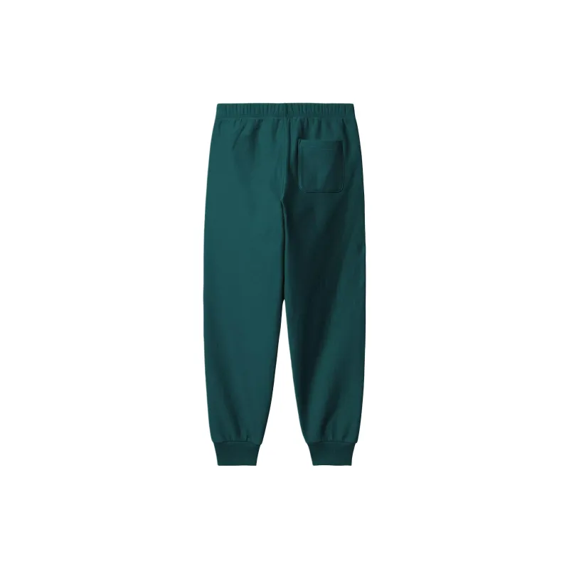 Carhartt WIP American Script FW24 Knitted Sweatpants Unisex Turquoise-1