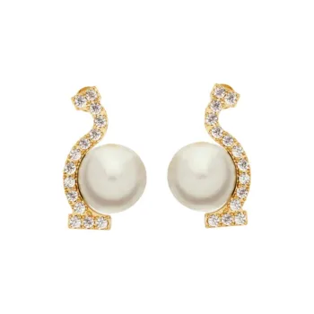 Ferragamo Embellished Earrings