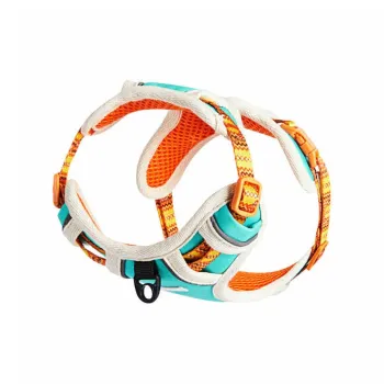 UFBemo Leashes, Printed Chest And Back