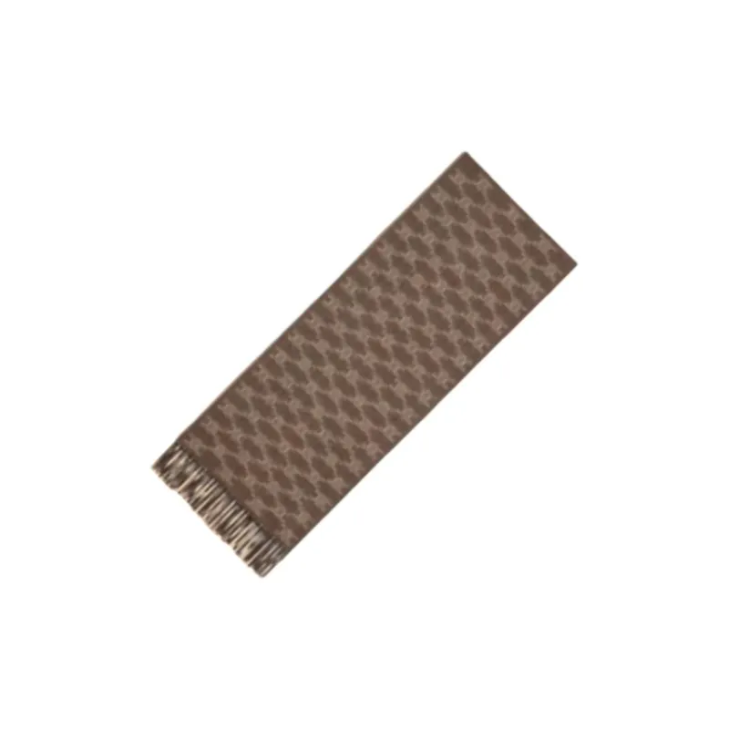 CELINE Scarf In Monogram Cashmere-2