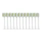 Bright White-Cleaning Type, 12-Piece Set