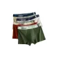 Light Green-Light Gray-Brick Red-Wood Green