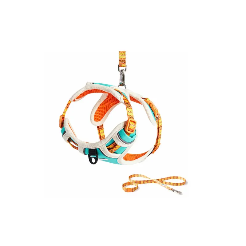 UFBemo Leashes, Printed Chest And Back-5