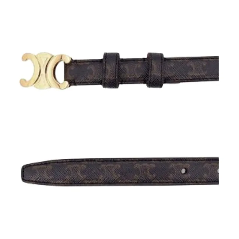 CELINE Small Triomphe Belt In Triomphe Canvas-3