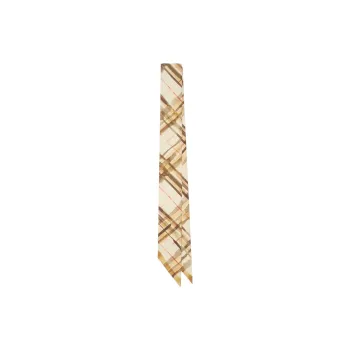 Burberry Checked Reversible Scarf