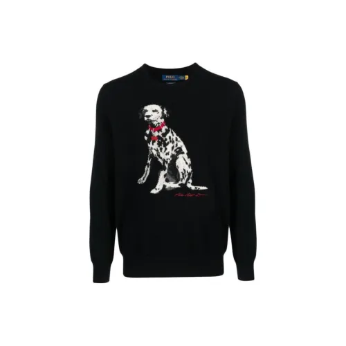 Polo Ralph Lauren Sweater Men's