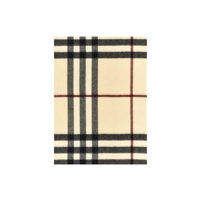 Burberry Checked Fringed Edge Scarf-3