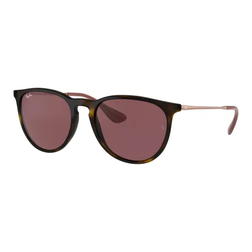 RayBan Erika Classic Sunglasses