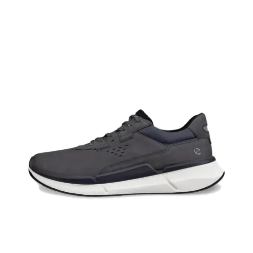 Ecco Biom 2.2 Low-Top Casual Shoes Men's Gray