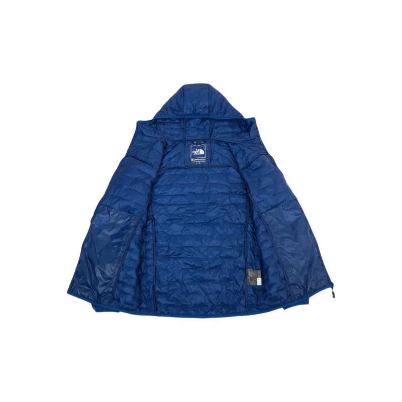 THE NORTH FACE Jackets & Coats Men's Blue-2