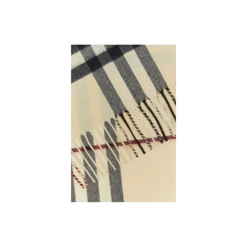 Burberry Checked Fringed Edge Scarf-4