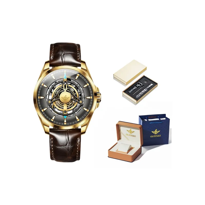 Oupinke Sky Eye Collection Mechanical Movement Leather Watch Bands Watch Men's Watches Black Dial-0