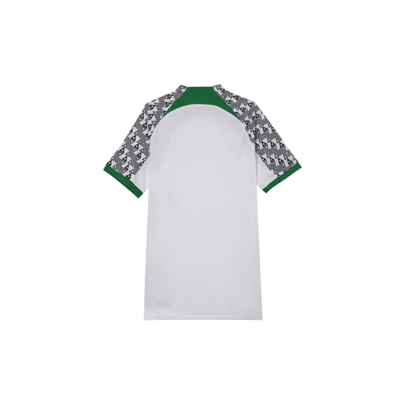 Nike Nigeria 2022/23 Stadium Away Jersey-1