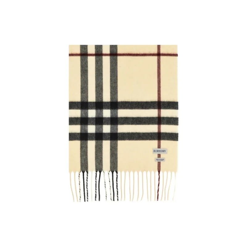 Burberry Checked Fringed Edge Scarf-2