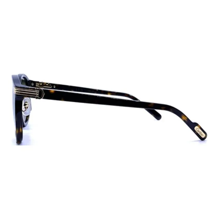 CARTIER Acetate Irregular Shape Sunglasses Unisex Tortoiseshell-3